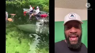 Huge fish under clear bottom canoe!