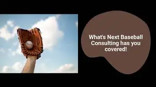 Whats Next Baseball Consulting