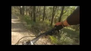 Igor | Silvan MTB Trails