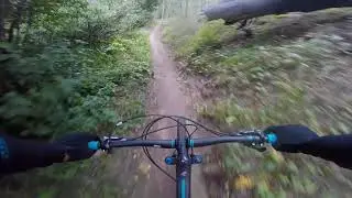 Doctor Park Singletrack