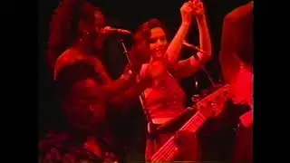 Steely Dan - The Steely Dan Show (Pacific Amphitheatre, Costa Mesa, CA 2003)