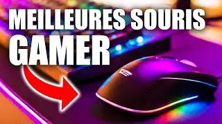 TOP 12 MEILLEURES SOURIS GAMER en 2020