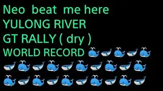 DIRT5 / YULONG RIVER / GT RALLY / WR 🤜🐳🤜🐳🤜🐳🤜