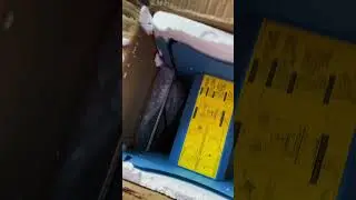 Unboxing a cup sealing machine #boba #smallbusiness #unboxing #machinery #online #bobalife #epic