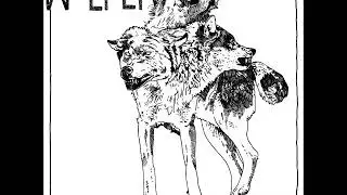 Wolfer - It Follows