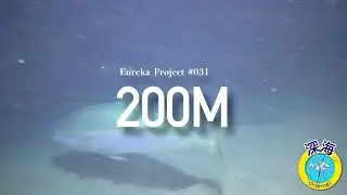 深海への挑戦｜水中カメラ｜水深200ｍの深海生物4K映像～The challenge of the deep sea～No.031