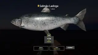Russian Fishing 4, LADOGA SALMON 14KG ARQUIPELAGO LADOGA