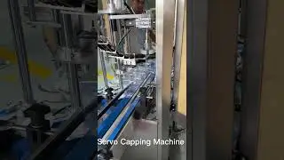 Servo Capping Machine for Square Bottle,Automatic Capper Machine,Bottle Capping with  cap feeding