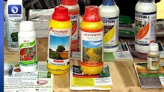 FG, Ogun Govt Launch $12m Springfield Agro-Chemical Plant