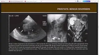 RADIOLOGY