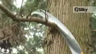Silky Europe: state-of-the-art Japanese hand- and polesaws