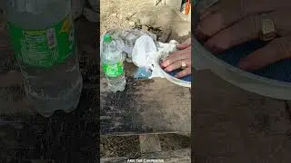 Pechay Seed Planting Gardening I Pechay in 30 Days Growing Direct Seeding Guide I Akie The Carpenter