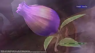 Floral Fallal Transformation (FFX2)