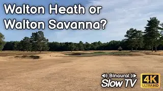 A Heatwave Walk around Walton Heath Golf Club from Walton-on-the-Hill to Mogador - Slow TV