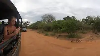Yala National Park Safari Leopard Lucas Sighting