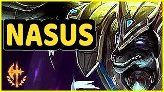 NASUS TOP HIGHLIGHTS