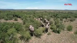 How EVO Max 4N Drones Are Revolutionizing Wildlife Conservation 🦅🌍