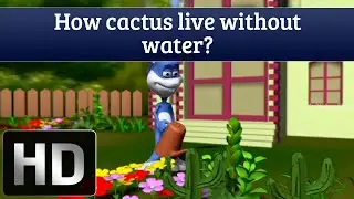 Tell Me How | How Can Cactus Live Without Water?