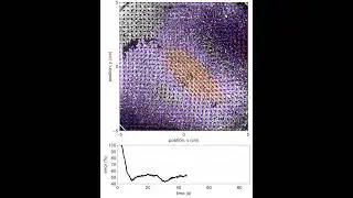 Feedback Control of Magnetohydrodynamic Flow Using Data-Driven Methods: Experiment #1