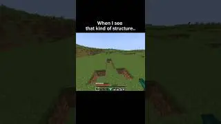 Minecraft but This structure.. 💀