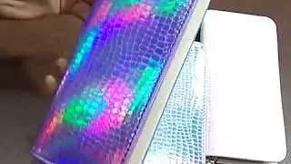 Holographic Long Wallet Liilesy