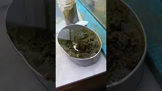 Ganito lang tayo mag prepare ng gel fish food Tansyahan lang kung gaano kadaming isda 😆
