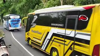 Mobil bus telolet bus medium saling tempel gacor 
