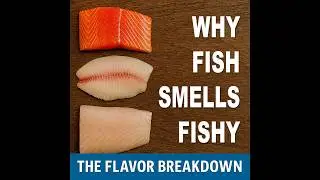 Why Does Fish Smell Fishy
