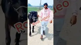 Dhirubhai New Roast Video 2026