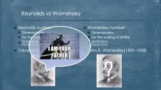 What is Womersley Number