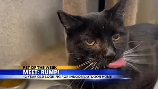Pet of the Week: Rump
