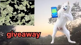 Second giveaway #prize#giveaway #recharge #cashback #winner #question #answer #ytshorts #comment 