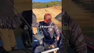 When the rod loads up and you already know 😎🎣