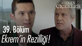 Ekrem, Güney'i kaybetti - Kırgın Çiçekler 39. Bölüm