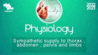 revision of L6 , sympathetic supply to thorax, abdomen ,Pelvis and limbs, physiology