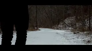 Silent Woods - DJI MINI 2 Cinematic Film