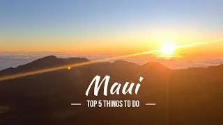 TOP 5 THINGS TO DO IN MAUI - HAWAII