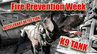 Accelerant Detection K9 Tank