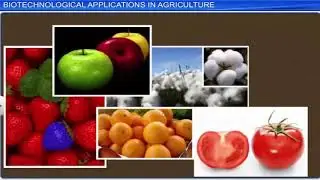 CBSE Class 12 Biology - 12 | Biotechnology And Its Applications |  Full Chapter | NCERT Animation |
