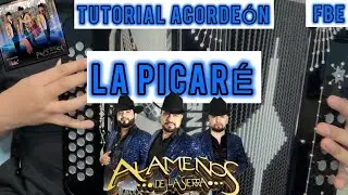 La Picaré - Los Alameños De La Sierra 🪗 TUTORIAL ACORDEÓN ¡SUPER FACIL!
