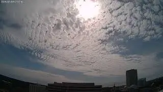 Florida State Capitol 2019-02-09: Ballard Partners
