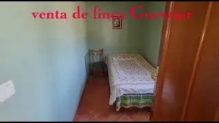 video guevejar