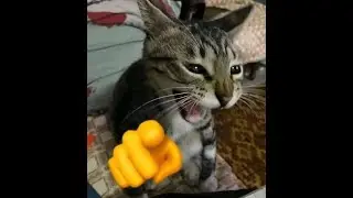 Outlast Trials - Genesis- Redeem Your Freedom - Psychosurgery A+