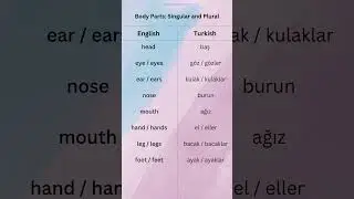 GROCERY STORE related words in #turkish #shorts
