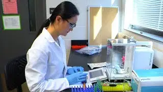 ISU lab at the forefront of biobehavioral research