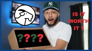 OFF-WHITE SNEAKER UNBOXING + ON FEET| I Can't Believe I Got These!