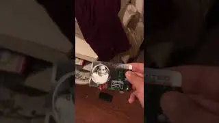 Let&rsquo;s go see dem aliens