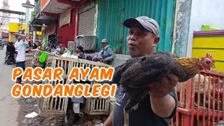 PASAR AYAM GONDANGLEGI MALANG bakule seneng guyon