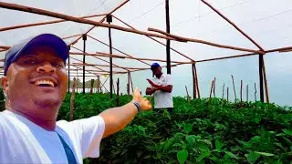 How I am getting MARKET for my Produce at Our Rural Home