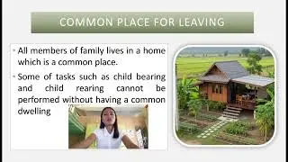 THE DEFINITION OF FAMILY (EC 3 REPORT) 